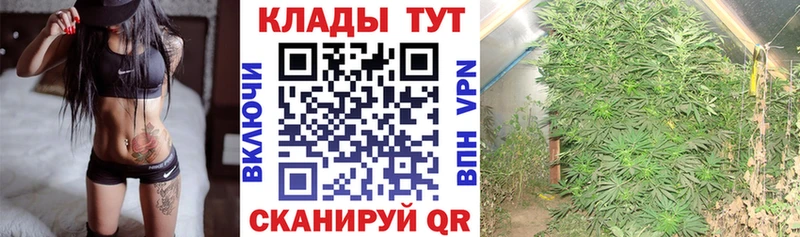 Продажа наркотиков Чердынь ГАШИШ  Конопля  Меф мяу мяу 