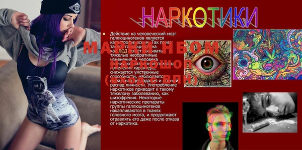 гидра Алексеевка