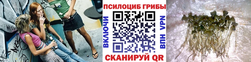 мега как войти Чердынь Псилоцибиновые грибы Magic Shrooms сколько стоит