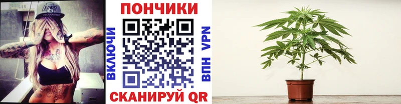 Бошки марихуана конопля  blacksprut ТОР  Чердынь 